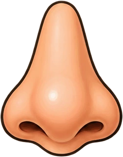 nose