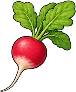 ravanello
