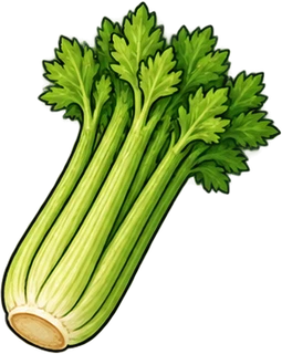 celery