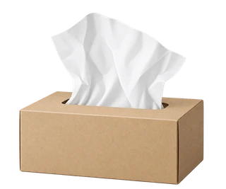 Papiertaschentuch