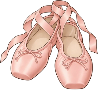 ballet shoes