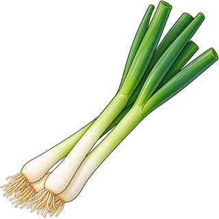 scallion