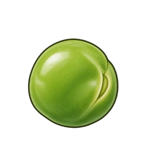 kacang polong