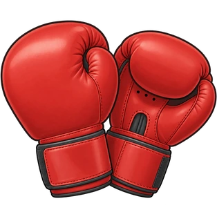 guantoni da boxe