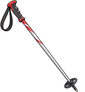 ski pole