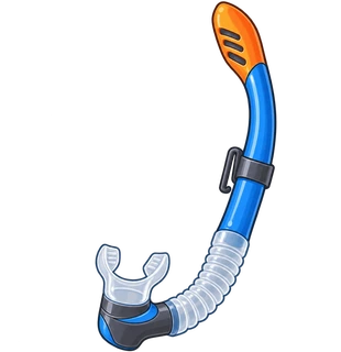 snorkel