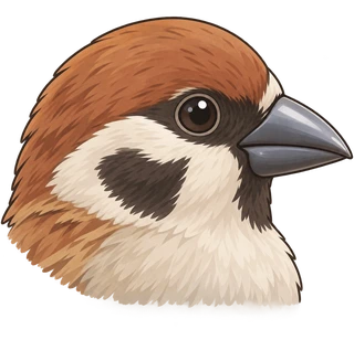 bico