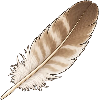feather