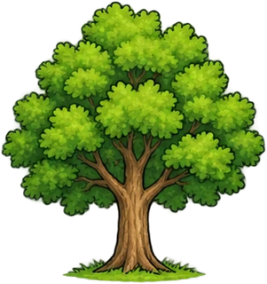 pohon
